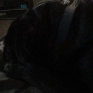 Meet your Posher, Halie